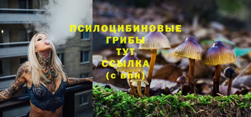 Галлюциногенные грибы MAGIC MUSHROOMS  Нахабино 